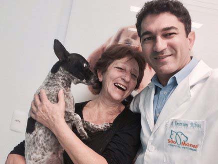 Diabetes em cães e gatos